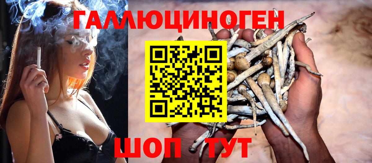 Галлюциногенные грибы MAGIC MUSHROOMS Спасск-Дальний