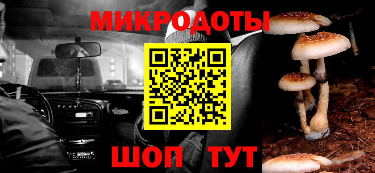Псилоцибиновые грибы Psilocybine cubensis  цены наркотик  Спасск-Дальний  Вход с VPN 